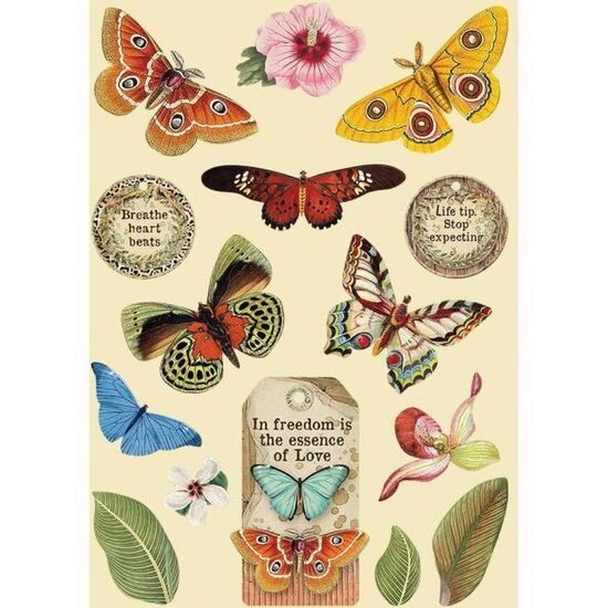 KLSP093 - Figurine lemn colorate - coala A5 - Amazonia Butterfly - Stamperia.