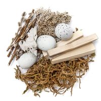 DPZA-074 - Elemente naturale decorative pentru Paste - 30 g - Dp Craft