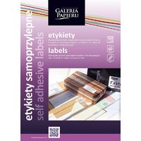 240450 Set 50 coli A4 cu etichete autoadezive 105x48mm - Galeria Papieru