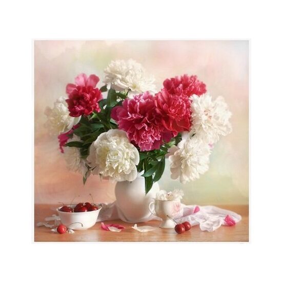 GX8082 Set pictura pe numere Red and white peonies - P-ART