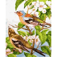 GX32145 Set pictura pe numere Spring birds - P-ART