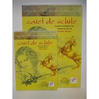 Caiet de schite cu spirala 200g/mp - 30 coli