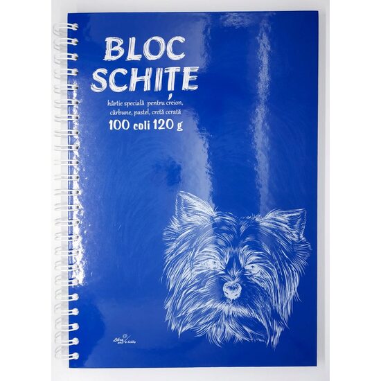 Bloc schite cu spirala, 120 gr/mp, 100 coli - LIBR