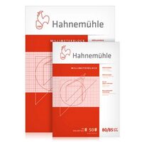 Bloc cu hartie milimetrica, 80-85gr/mp, 50 coli - Hahnemuhle