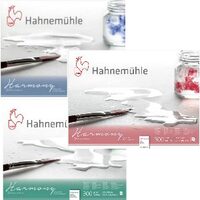 Bloc pentru acuarela Harmony 300gr/mp, 12coli - Hahnemuhle