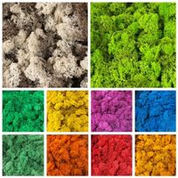 Licheni decorativi stabilizati - precuratati - 100 gr. - diferite culori - Phoce
