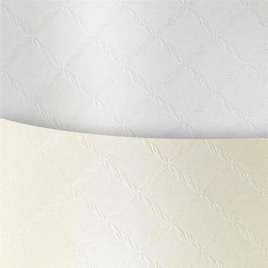 Set 20 cartoane sidefate embosate , A4 - 220 gr - Chic - Galeria Papieru