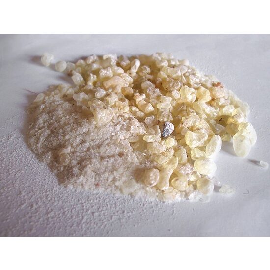 Masserini, DAMAR - Rasina damar 